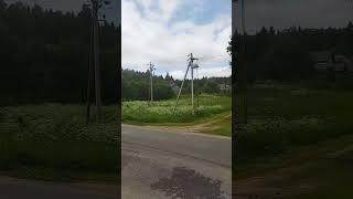 прогулка #жизньпенсионера
