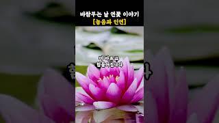 부처님 말씀 놓지 못하는 마음, 부처님의 한 말씀으로 풀다||깨달음|인관관계|마음치유|영적성장|불교명언|불교오디오북