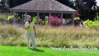 EcoBeneficial Tips: Spotlight on Native Grasses