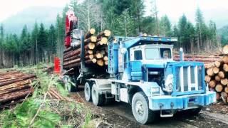 Driving Logging Trucks - In The Clear - SAFER.ca