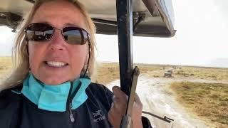 SAFARI, NGORONGORO CRATER Tanzania Africa, Safari through grassland area#youtube #love #live