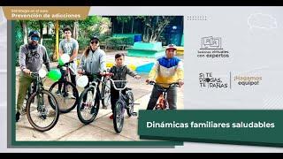 Dinámicas familiares saludables