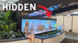 HUGE 1000 Gallon RARE NATIVE Fish Tank in Shopping Mall!