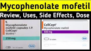 Mycophenolate Mofetil 500 mg in hindi - Cellcept 500mg tablet - Uses, Mechanism of action, Dose