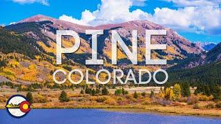 PINE COLORADO- Should YOU Move To This Tiny Mountain Town?