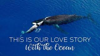 TRAVEL and DIVE the world! Our love story with the ocean!!!