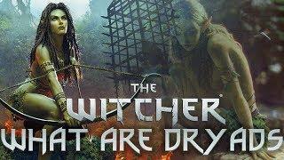 What Are Dryads? - Witcher Lore - Witcher Mythology - Witcher 3 lore - Witcher Races Lore