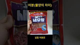 어분 물비율 실험 #붕어낚시 #떡밥