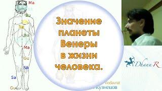 Антон Кузнецов (Ведаврат). Значение планеты Венеры в жизни человека.