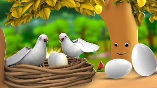 जादुई पेड़ कबूतर के अंडे - Magical Tree Pigeon Eggs 3D Animated Hindi Moral Stories for Kids JOJO TV