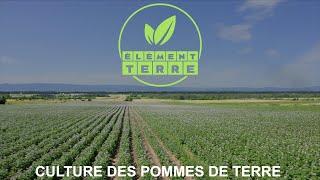 Élément Terre: Culture des pommes de terre