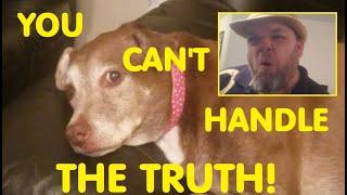 My Dog Cant Handle The Truth (A Few Good Men Parody)