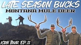 Late Season Bucks | Montana Mule Deer Hunt |   4K FILM | Icon Tour 2024