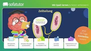 Bakterien – Aufbau einfach erklärt – Biologie 7. & 8. Klasse