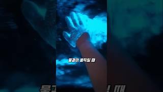 바닷물이 반짝이는 이유