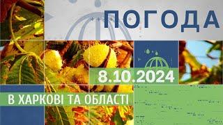 Прогноз погоди в Харкові та Харківській області на 8 жовтня