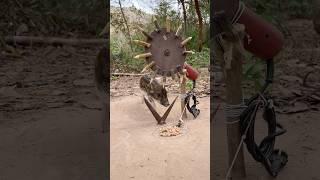 Creative boar Trap - Minute Experiment boar Trap Make By Cutting motor Vs Scissors #campping #shorts