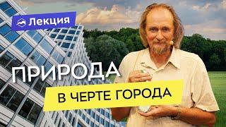 Зелёное кольцо Москвы - пешеходно-беговой маршрут