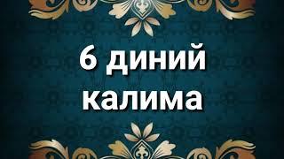 6 диний калима