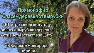 Вырубка зелёных насаждений в городах - что делать? #ВеликийНовгород #Карелия #Самара #Экология