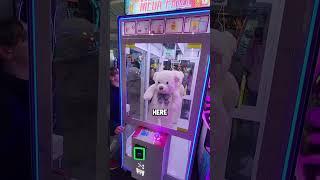 Giant Bear Hangs by 1 Thread in Arcade Game! #shorts