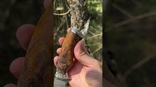 Наша самая популярная модель в стали S390