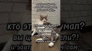 не буду не с кем делиться#батон#котик#юмор#шортс#2025 .