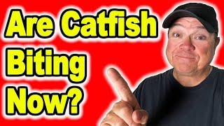 Is Now a Bad Time to Catch Catfish