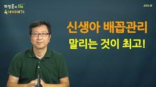 #91 배꼽은 말려만 주시면 됩니다: 하정훈의 육아이야기