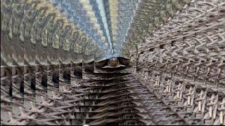 VEGA Full Moon - music /videoCreated by Daniel Hudgins .