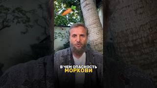 Морковь: в чем может быть вред от приема этого продукта? #питание #здоровье #зож #здоровоепитание