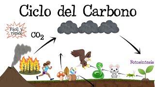 ️ Ciclo del Carbono ️ [Fácil y Rápido] | BIOLOGÍA |