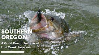 Lost Creek Smallies (Southern Oregon)