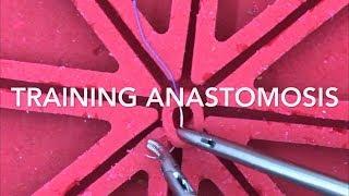 лапароскопический анастомоз. тренировка // anastomosis. how to train? // suturing technique