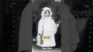 Crazy Historical Photos You Won't See Anywhere Else #history