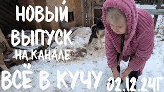 Вышел выпуск в 13:30 на Яндекс ДЗЕН, 02.12.24 в 15.00 по выйдет на канале ВСЁ В КУЧУ NEW