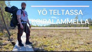 YÖ KOIRALAMMELLA | TELTTARETKI KESÄISENÄ PÄIVÄNÄ | A NIGHT AT KOIRALAMPI | TENT TRIP ON A SUMMER DAY