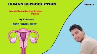 12 Biology l Human Reproduction l Part-8 l Female Reproductive System ~ Uterus