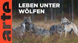 Ein Jahr unter Wölfen | ARTE Family