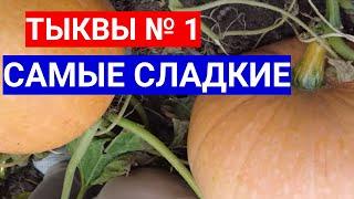 ТЫКВЫ № 1 В МОЕЙ КОЛЛЕКЦИИ - САМЫЕ СЛАДКИЕ СОРТА