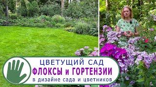 Видео журнал "СОФ №127" Цветущий сад. ФЛОКСЫ и ГОРТЕНЗИИ в дизайне сада и цветников.