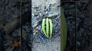 Grilled okra #cooking #asmr #outdoors