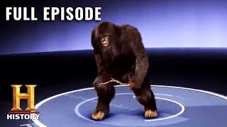 MonsterQuest: MYSTERIOUS APE ISLAND (S3, E11) | Full Episode | History