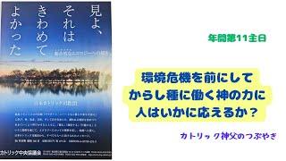 カトリック神父のつぶやき 「環境危機を前にして、からし種に働く神の力に人はいかに応えるか？」B年 年間第11主日 2024年6月16日