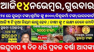 today's morning news odisha/14 November 2024/heavy to heavy rain/odisha news today/odisha samachar