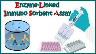 ELISA | Enzyme linked immonosorbent assay | ELISA test | Types of ELISA | Direct and Indirect ELISA