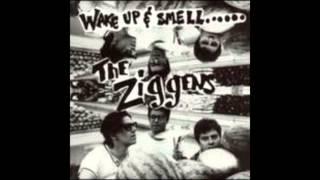 The Ziggens - All the Fun That We Missed