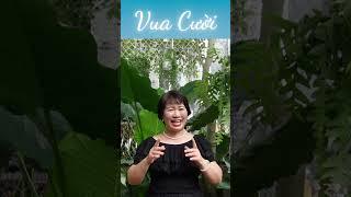 Bạn Có Biết Tiếng Cười Là Thần Dược Miễn Phí Cho Sức Khỏe?