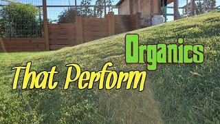 Organic Fall Lawn Plans Explained