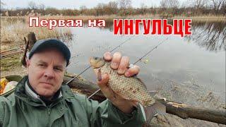 Первая рыбалка на ИНГУЛЬЦЕ  Карась пошёл /  Fishing Video